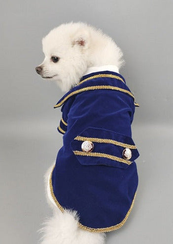 Royal blue and gold tuxedo outlet jacket