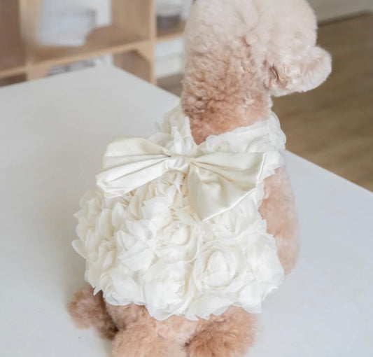 3D Roses Dog Dress - Cream