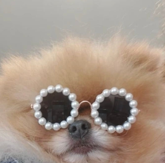 Dog Pearl Sunglasses