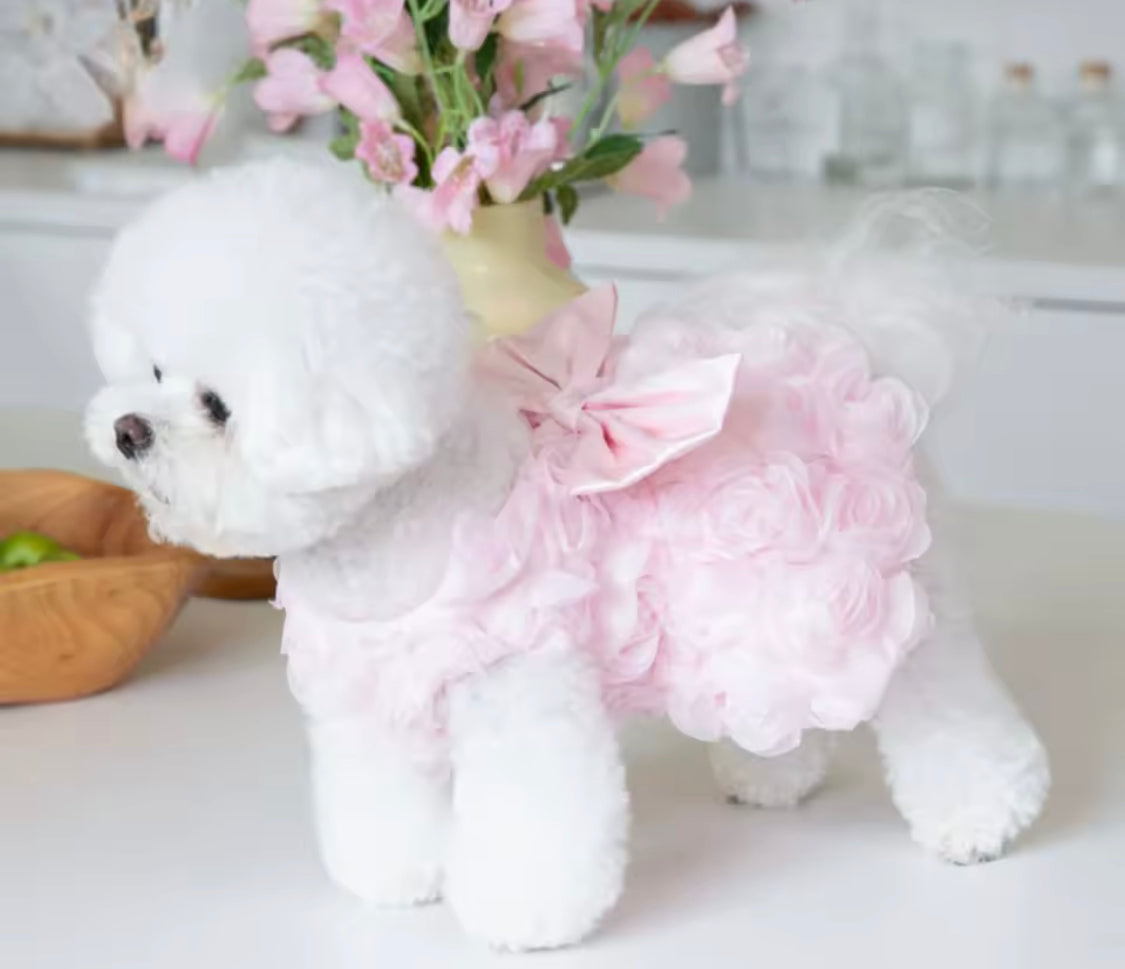 3D Roses Dog Dress - Pink