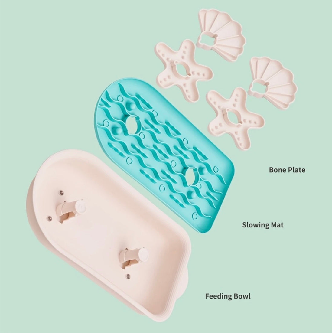 Seashell Dog Slow Feeder - Turquoise