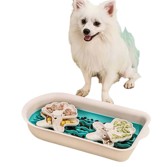 Seashell Dog Slow Feeder - Turquoise