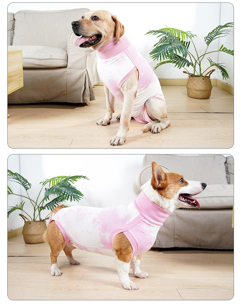 Recovery Suit for Dogs - Blue/Pink