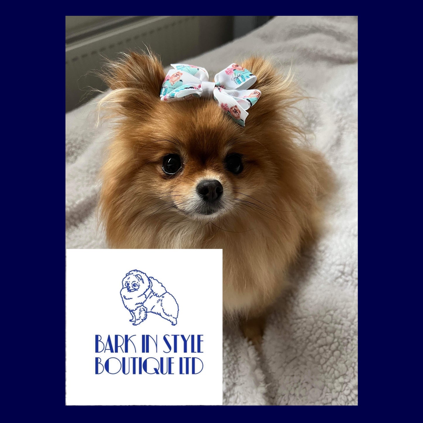 Blue Box x Pomeranian Hair Bow Clip