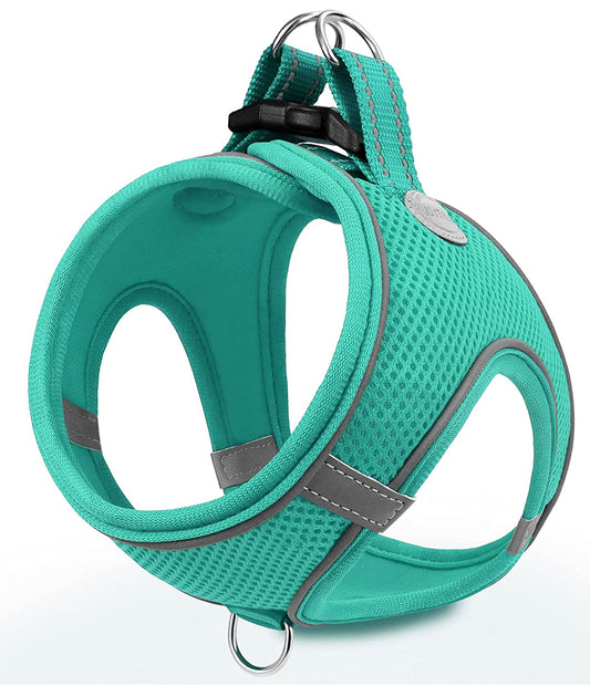 Reflective Step In Harness - Aqua