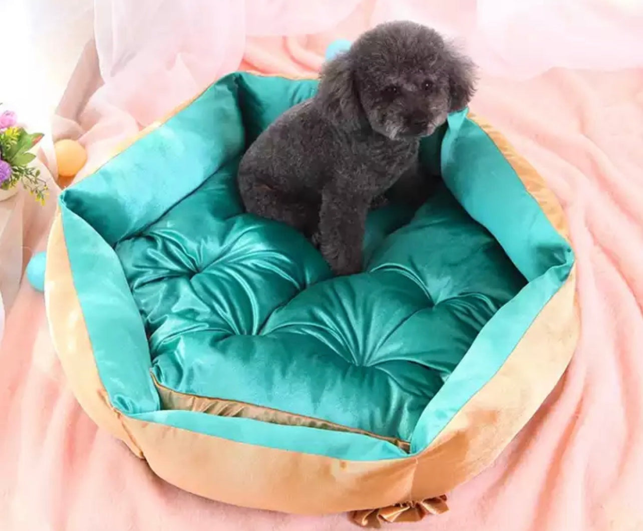 Faux Velvet Pet Bed - Beige/Turquoise